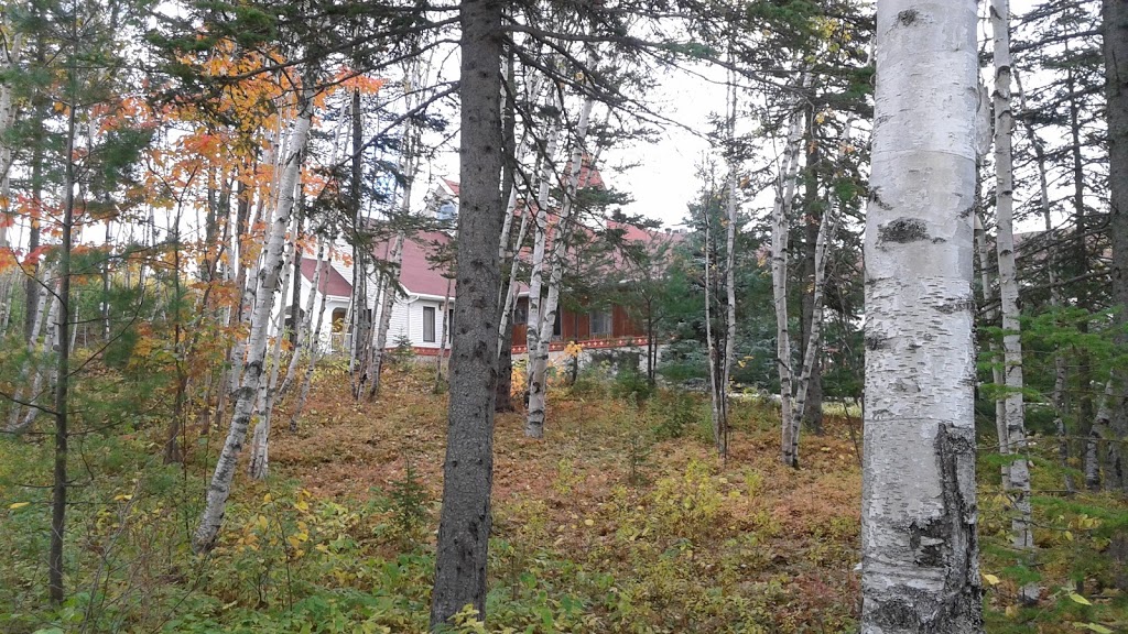 Monastère des Petits Frères de la Croix | 125 Rang Sainte Philomene, La Malbaie, QC G5A 2B5, Canada | Phone: (418) 439-4611
