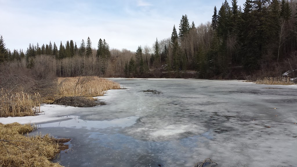 Weaselhead Natural Area Parking | 6634 37 St SW, Calgary, AB T3E 5M9, Canada