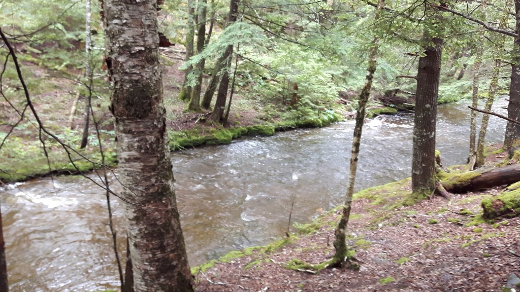Butcher Hills Falls | 623-633 Higgins Mill Rd, Upper Stewiacke, NS B0N 2P0, Canada