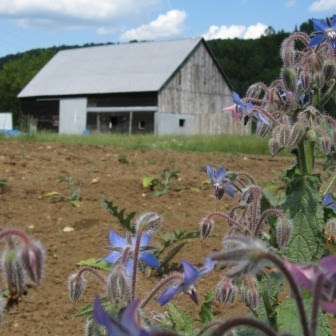 Aux Solstices | 1538 Chemin Marcel Dardel, Namur, QC J0V 1N0, Canada | Phone: (819) 426-2482