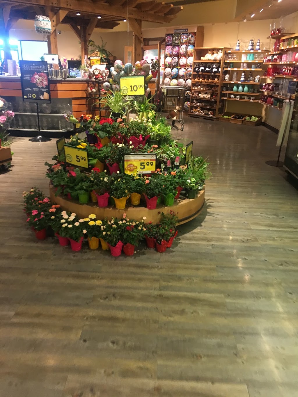 Safeway Saddle Ridge | 850 Saddletowne Cir NE, Calgary, AB T3J 0H5, Canada | Phone: (403) 293-0915