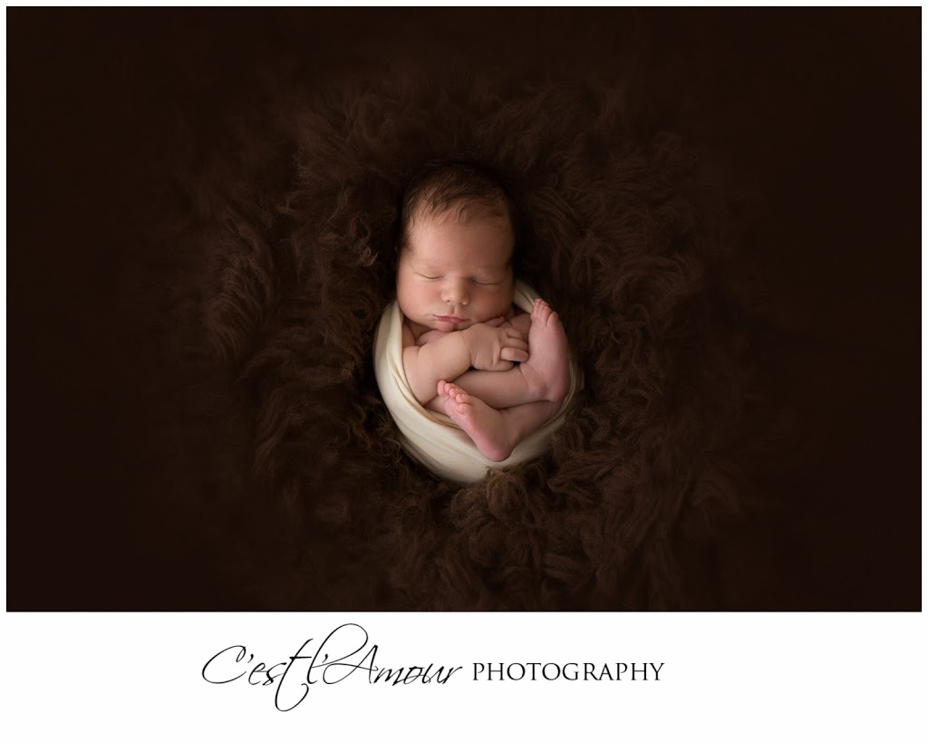 Cest lAmour Photography | 1211 King St E, Oshawa, ON L1H 1J1, Canada | Phone: (905) 995-0994