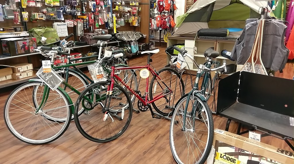 Sierra | 4313 Meridian St, Bellingham, WA 98226, USA | Phone: (360) 527-0636