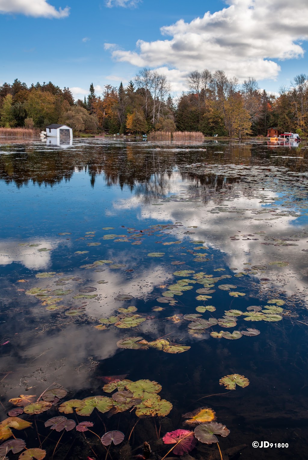 Camp Kirk | 1083 Portage Rd, Kirkfield, ON K0M 2B0, Canada | Phone: (705) 438-1353