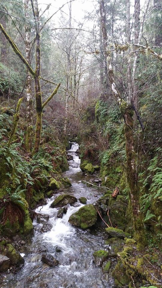 Meanwhile In Sooke | 3925 Otter Point Rd, Sooke, BC V9Z 0J9, Canada
