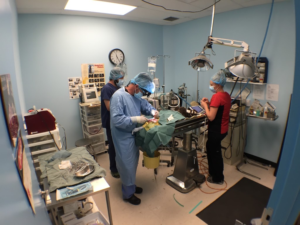 Mavis Road Animal Clinic | 3095 Wolfedale Rd, Mississauga, ON L5C 1V8, Canada | Phone: (905) 275-2782