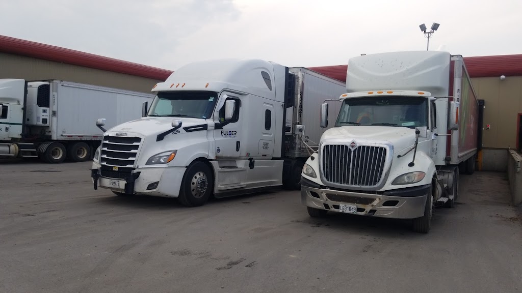 Fermes V Forino Et Fils (Les) | 298 Rang Sainte-Mélanie, Sherrington, QC J0L 2N0, Canada | Phone: (450) 454-6307