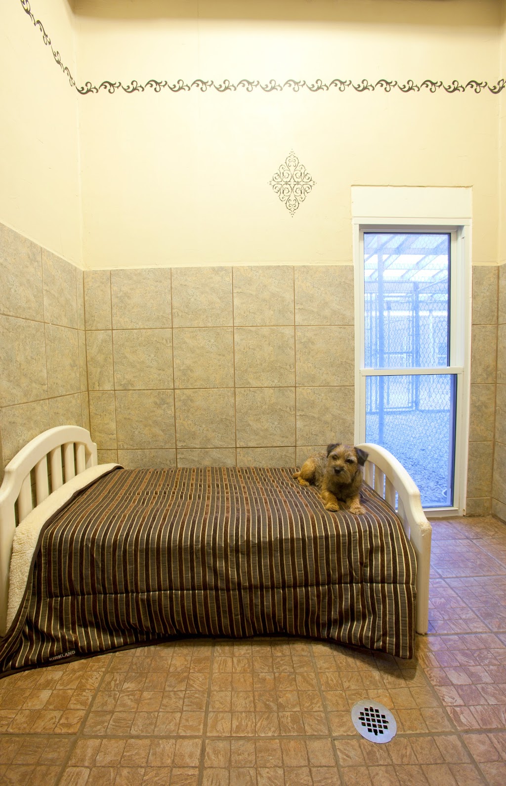 Diamond In The Ruff Pet Retreat | 7625 Leslie Rd W, Puslinch, ON N0B 2J0, Canada | Phone: (519) 837-4473