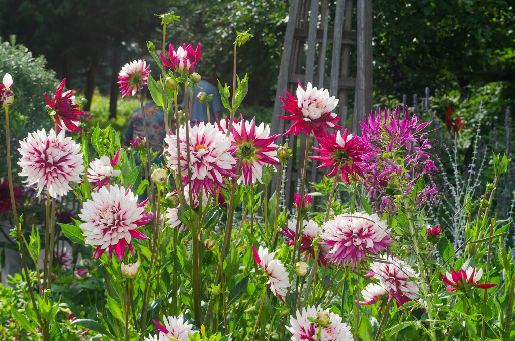 English Garden | Winnipeg, MB R3J, Canada