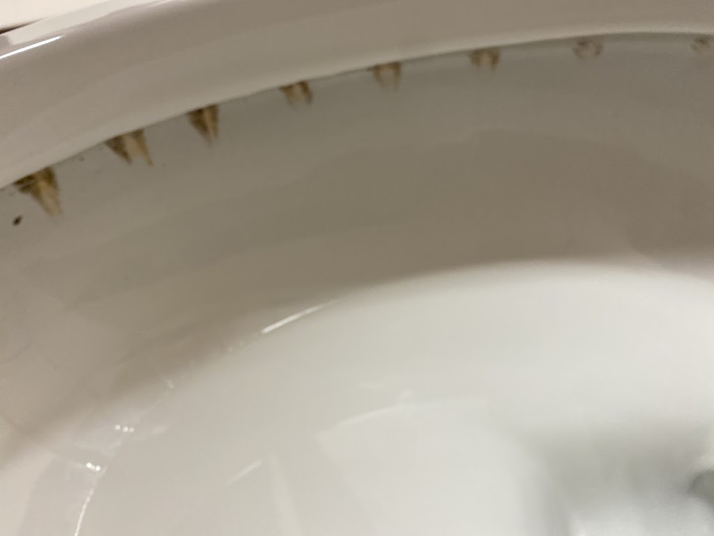 RJ cleaning & Maintenance LTD | 108 Coral Shores Cape NE, Calgary, AB T3J 3T8, Canada | Phone: (604) 723-1287