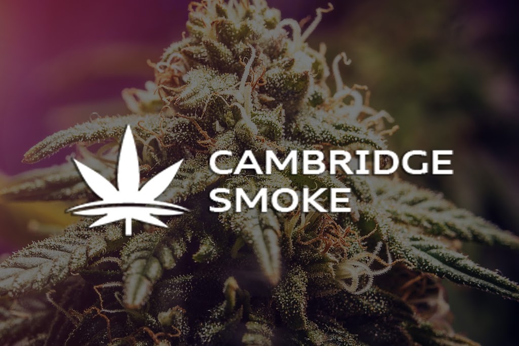 Cambridge Weed Dispensary | 101 Holiday Inn Dr, Cambridge, ON N3C 1Z3, Canada | Phone: (519) 220-0201