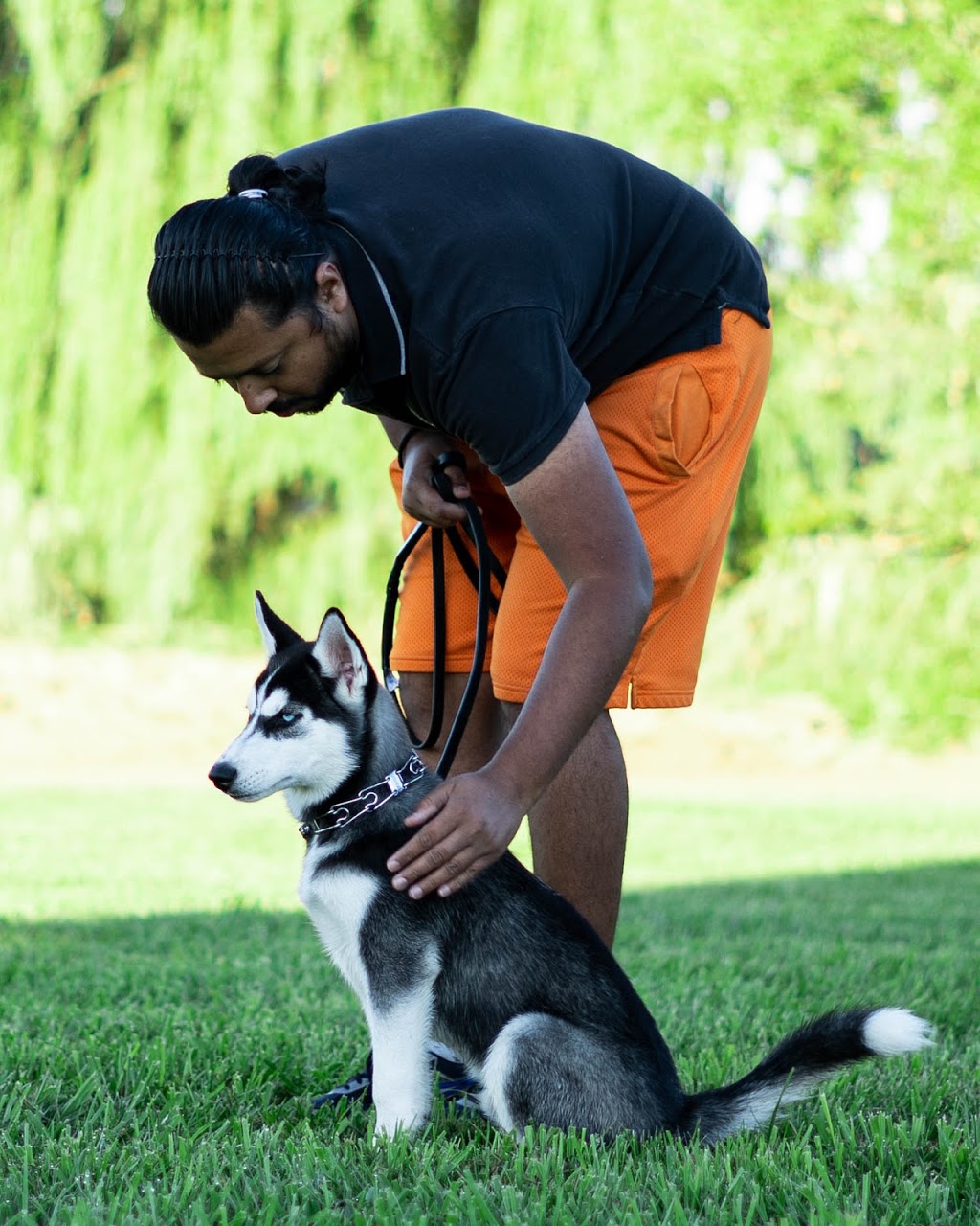 Lone Wolf K9 | 6859 Healey Rd, Caledon, ON L7C 0X2, Canada | Phone: (647) 244-3663