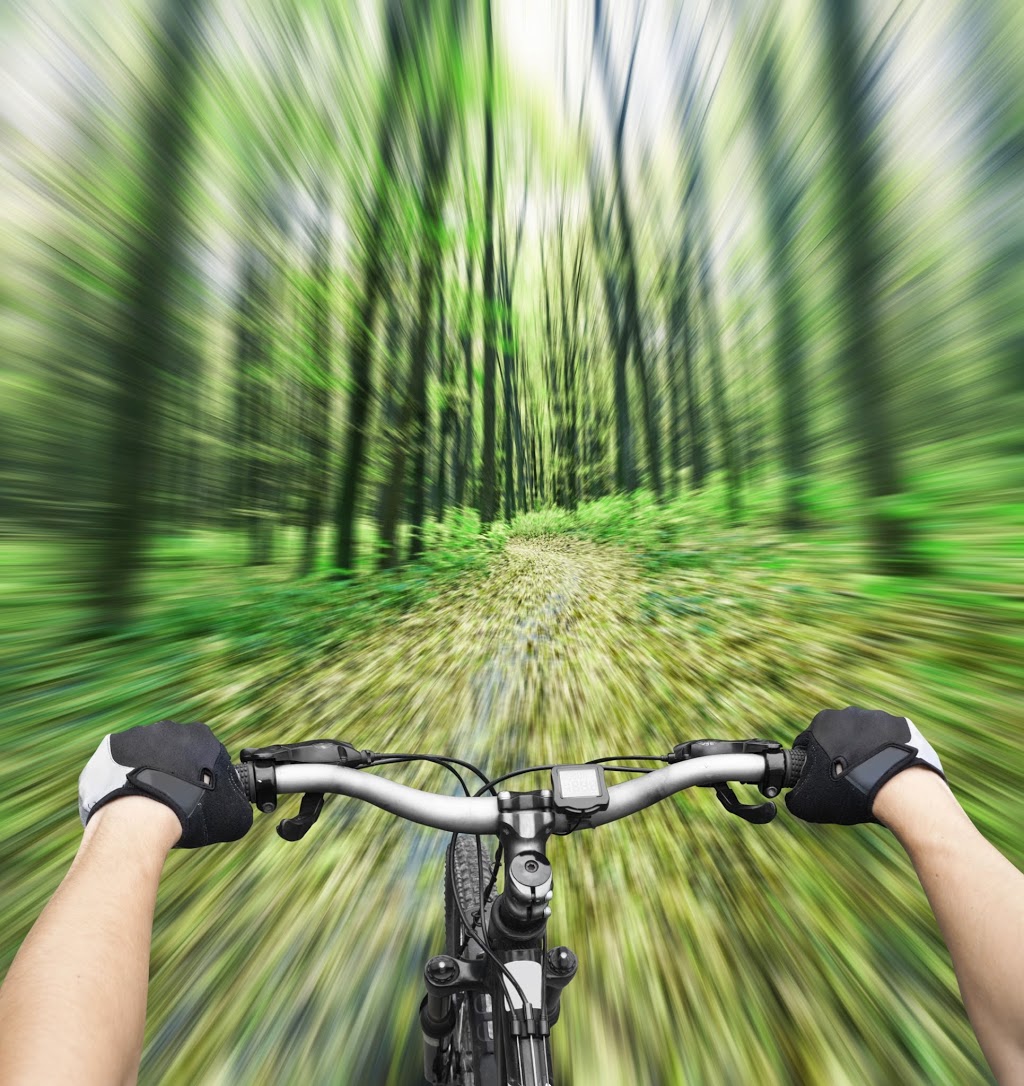 Hardwood Ski and Bike | 402 Old Barrie Rd W, Oro Station, ON L0L 2E0, Canada | Phone: (705) 487-3775