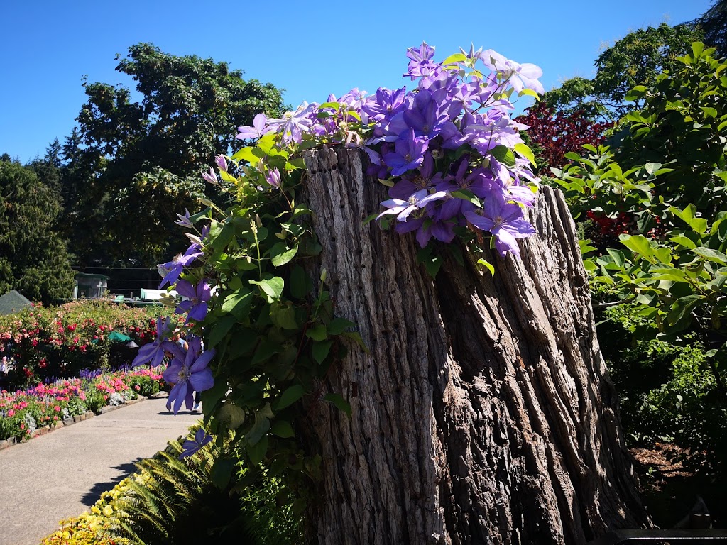 Nature Float | Tod Inlet Trail, Central Saanich, BC, Canada | Phone: (250) 652-1662