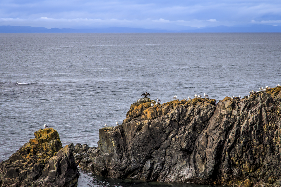 Sheringham Lighthouse View Trail | Sheringham Point Rd, Port Renfrew, BC V0S 1K0, Canada