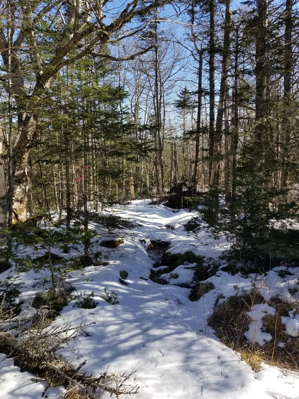 Greenhead Road Cemetery | Otter Lake, NS B3T 1P6, Canada