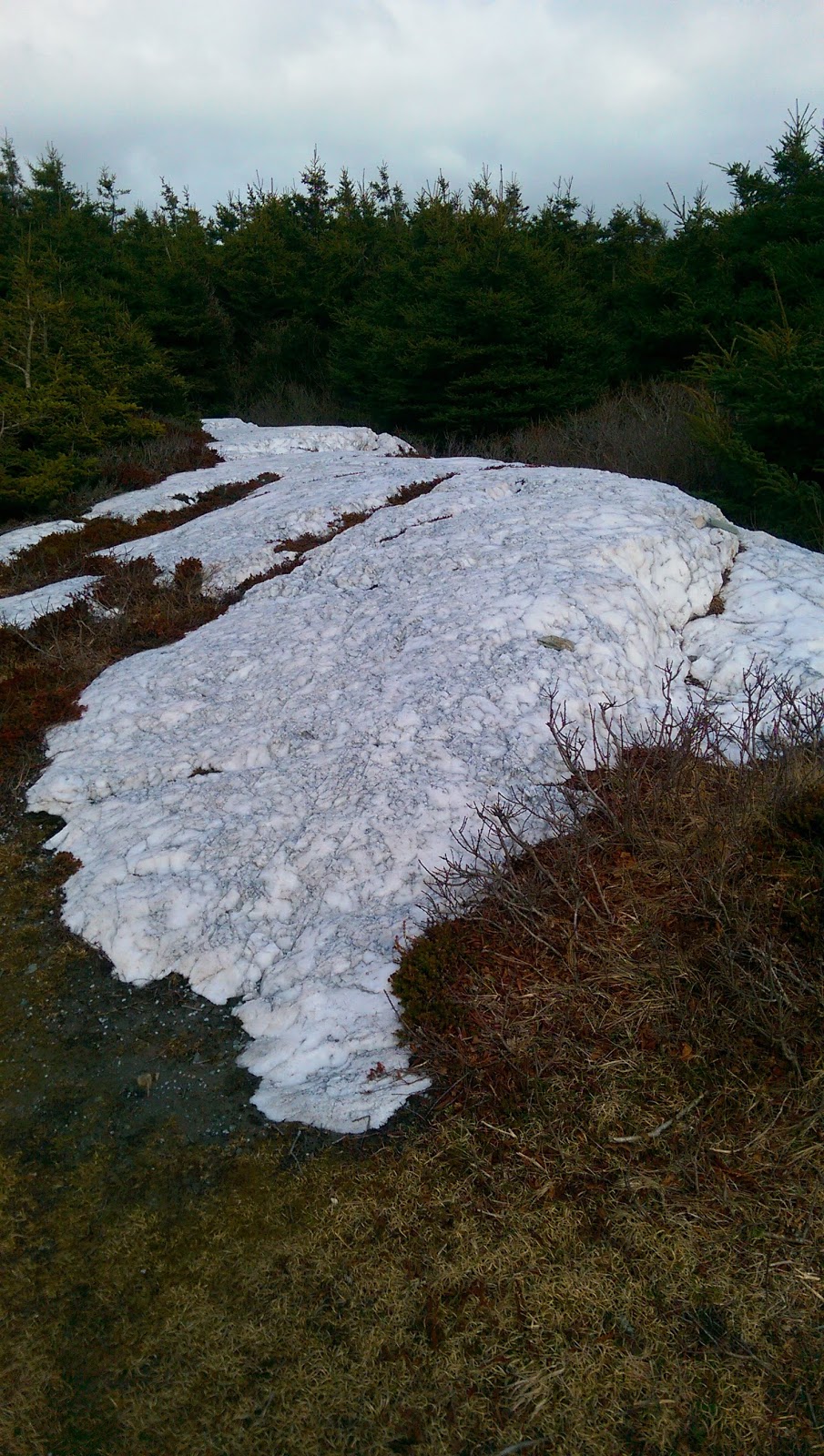Martinique Beach Provincial Park | 193 Martinique Beach Rd, East Petpeswick, NS B0J 2L0, Canada | Phone: (902) 798-6700