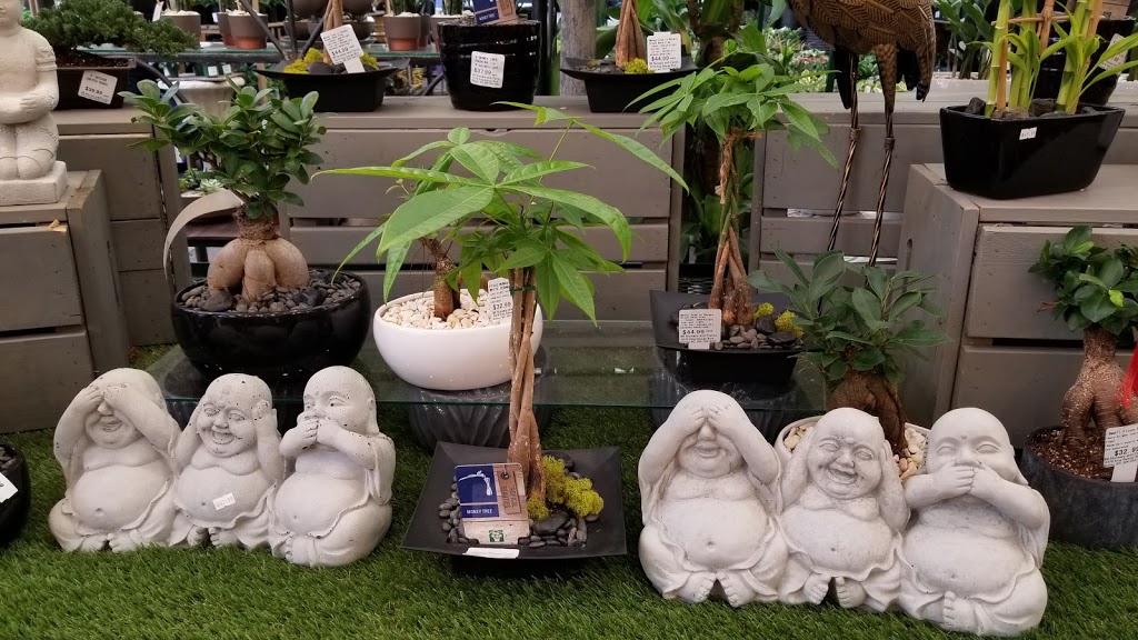 99 Nursery & Florist Inc | 9376 King George Blvd, Surrey, BC V3V 5W3, Canada | Phone: (604) 584-6555