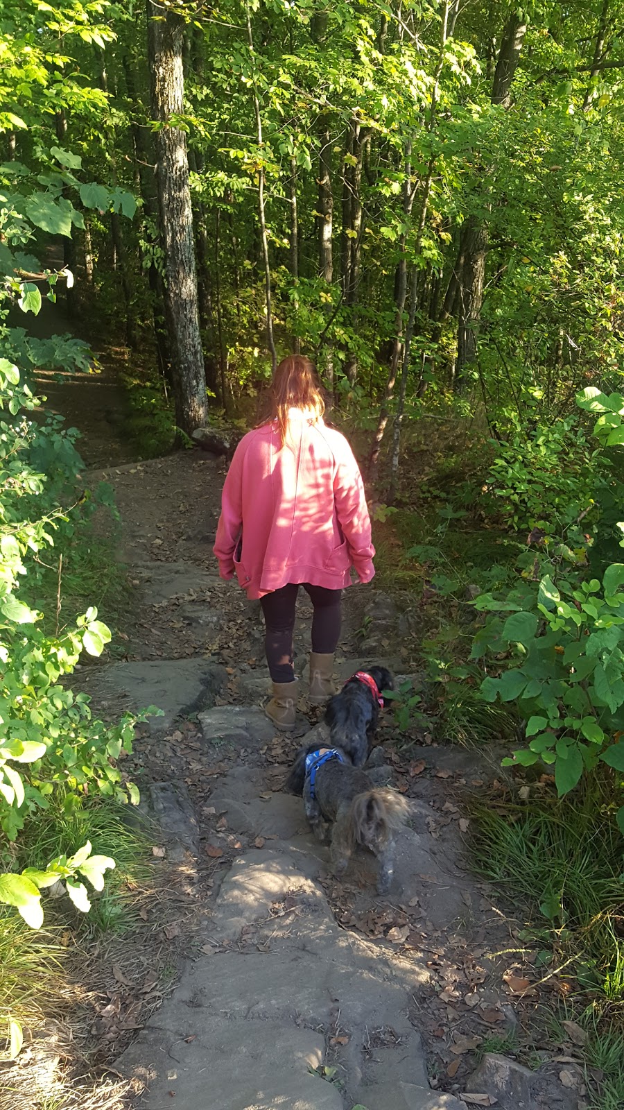 Waterfall Trail | Promenade Champlain, Chelsea, QC J9J, Canada | Phone: (819) 827-2020