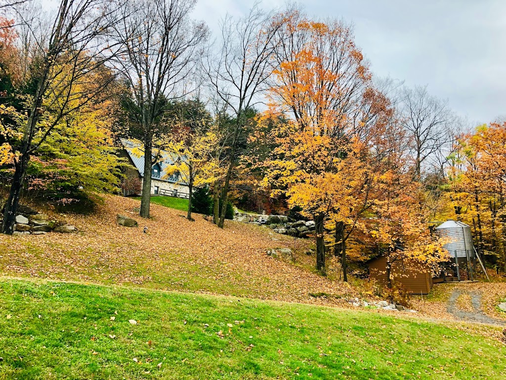 Balnea Spa | 319 Chemin du Lac Gale, Bromont, QC J2L 2S5, Canada | Phone: (450) 534-0604
