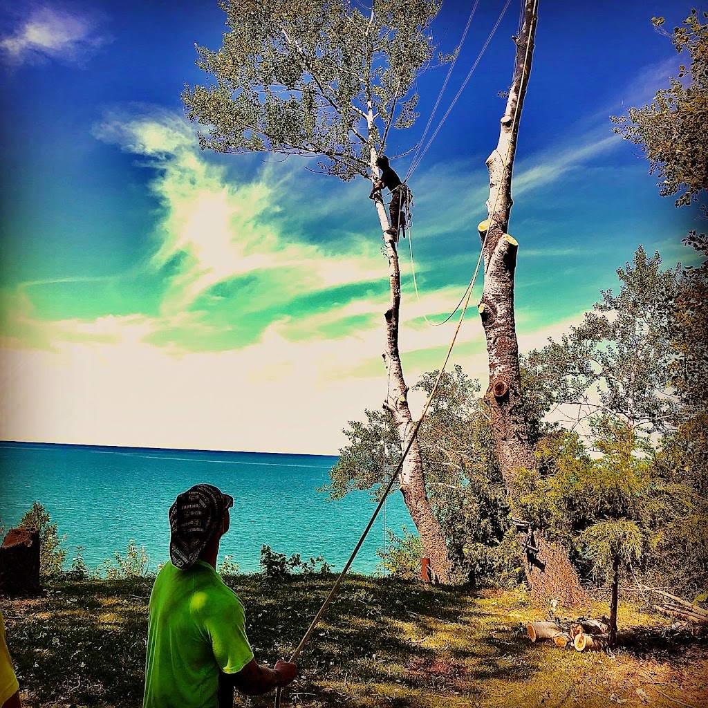 Canopy Tree Care | 46 James St, Seaforth, ON N0K 1W0, Canada | Phone: (519) 614-2719