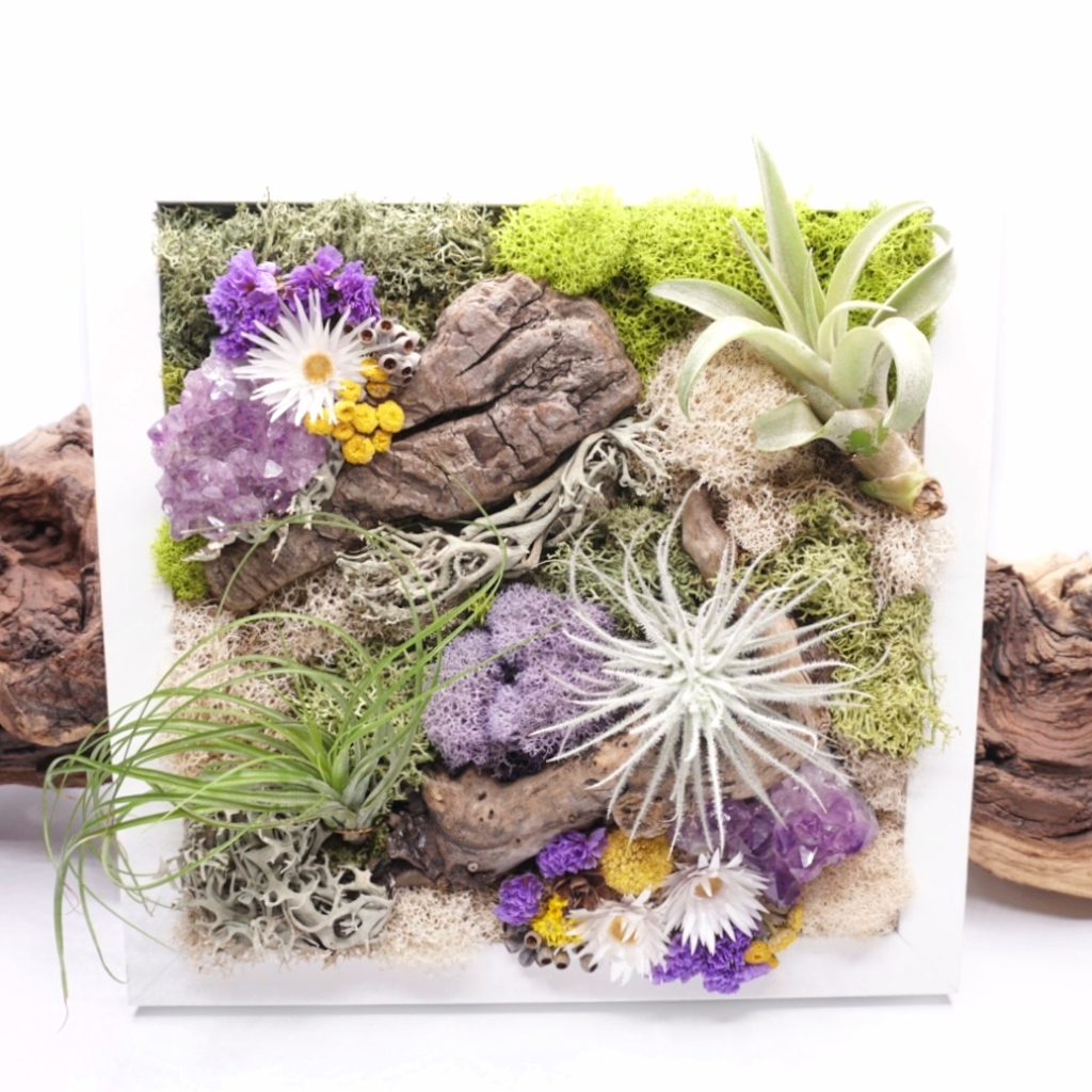 Plant Babies Terrariums | 7905 Rue Tellier, Montréal, QC H1L 6N9, Canada | Phone: (514) 561-7508