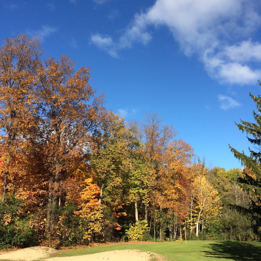 Brock Golf Course | 2745 Merrittville Hwy, Fonthill, ON L0S 1E6, Canada | Phone: (905) 641-8088