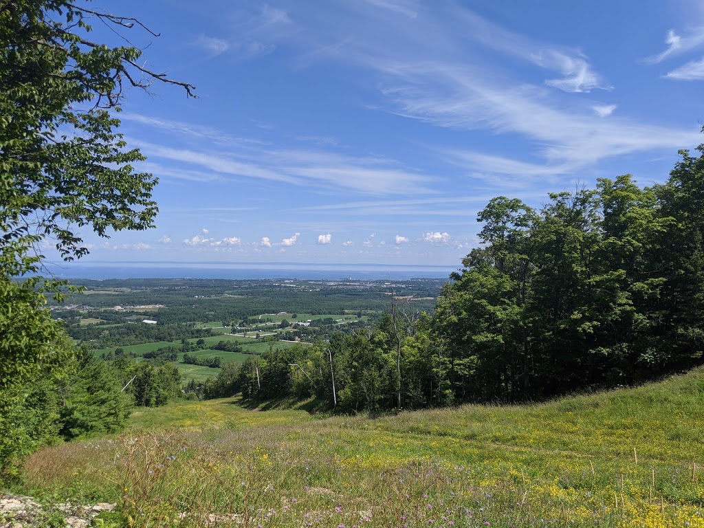 Osler Bluff Ski Club Ltd | 795534 The Blue Mountains Clearview Townline, The Blue Mountains, ON L9Y 0R7, Canada | Phone: (705) 445-4507