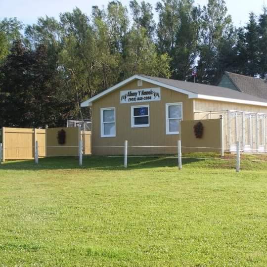Albany Y Kennels | 153 PE-1A, Albany, PE C0B 1A0, Canada | Phone: (902) 855-3288