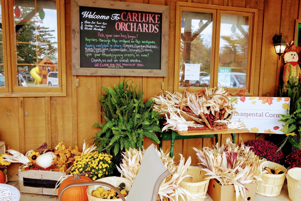 Carluke Orchards | 2194 Shaver Rd, Ancaster, ON L9G 3L1, Canada | Phone: (905) 648-2775