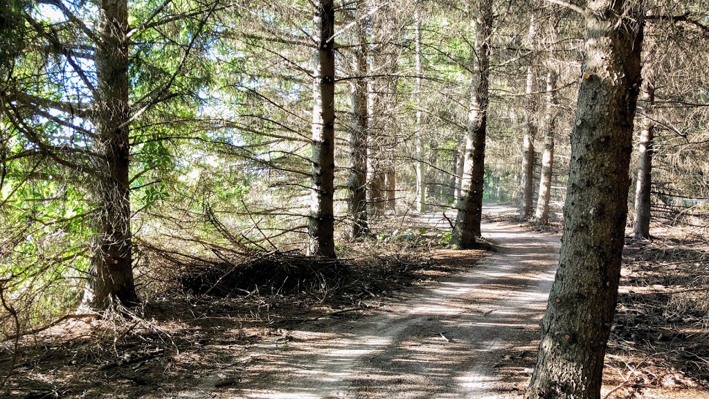 L.C. Henderson Conservation Area | RR 4, Petrolia, ON N0N 1R0, Canada | Phone: (519) 882-2280