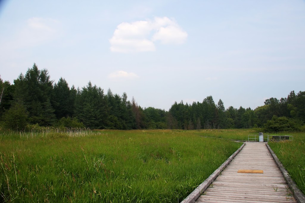 Minden Boardwalk | Minden, ON K0M 2K0, Canada | Phone: (705) 286-1260