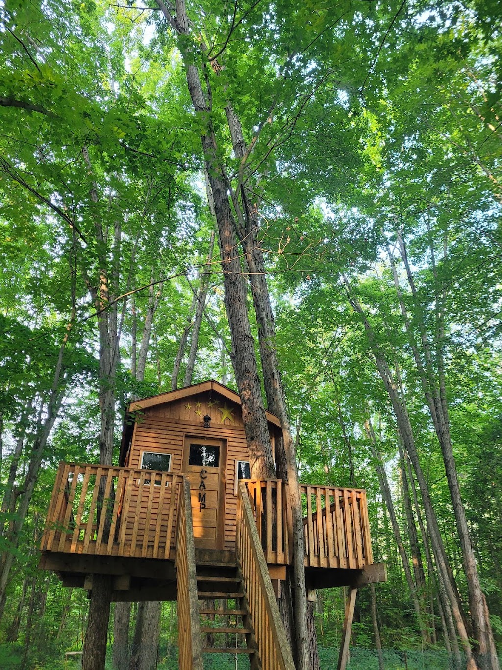 Northside Tree Experts | 64 Scott St, Orillia, ON L3V 4R4, Canada | Phone: (705) 896-5204