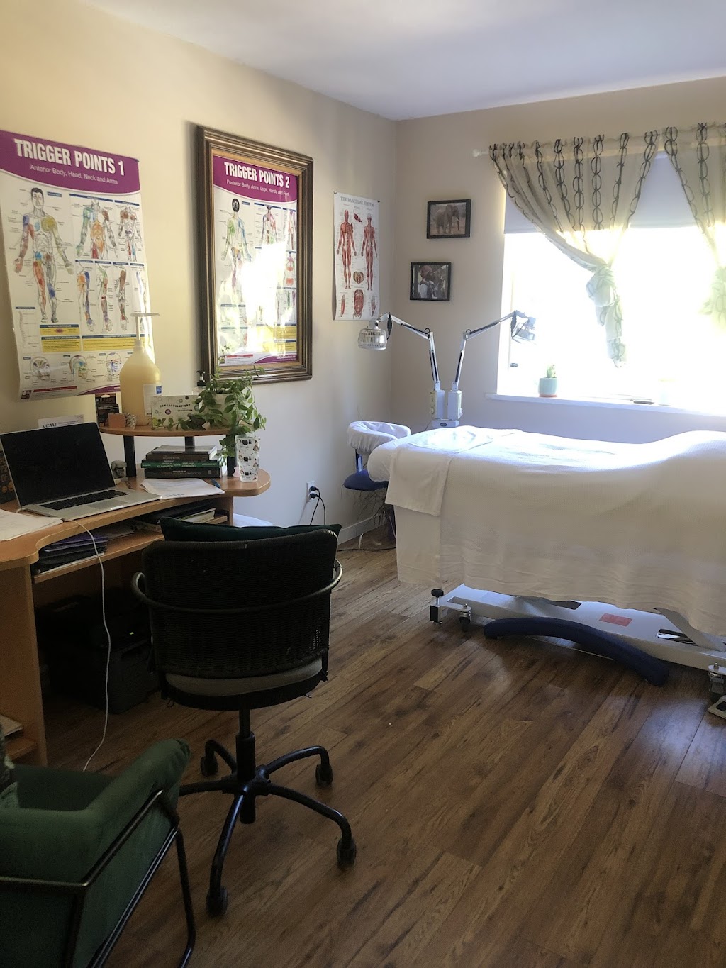 Purple Finch Massage | 3201 Mossy Rock Rd, Roberts Creek, BC V0N 2W2, Canada | Phone: (604) 358-3777