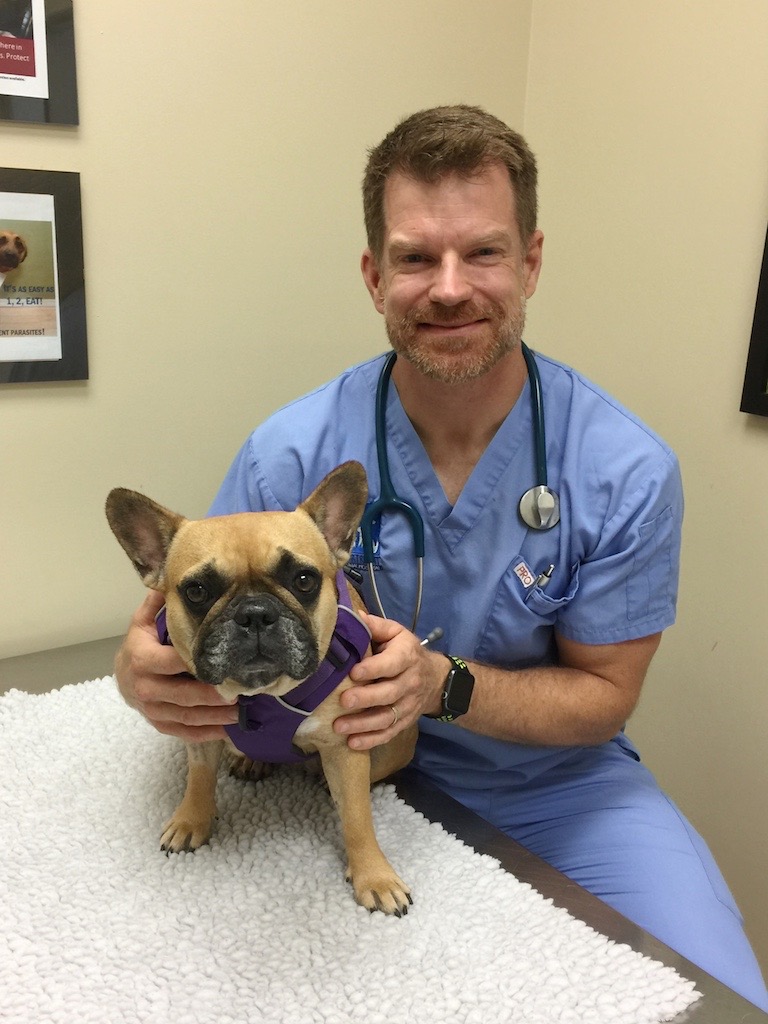 Kortright Animal Hospital | 160 Kortright Rd W, Guelph, ON N1G 4W2, Canada | Phone: (519) 824-7190
