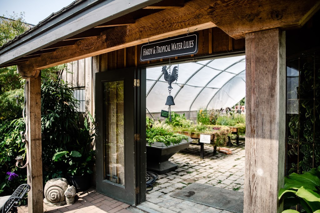 Woodbridge Ponds | 3387 Tolmie Rd, Abbotsford, BC V3G 2T9, Canada | Phone: (604) 823-0222