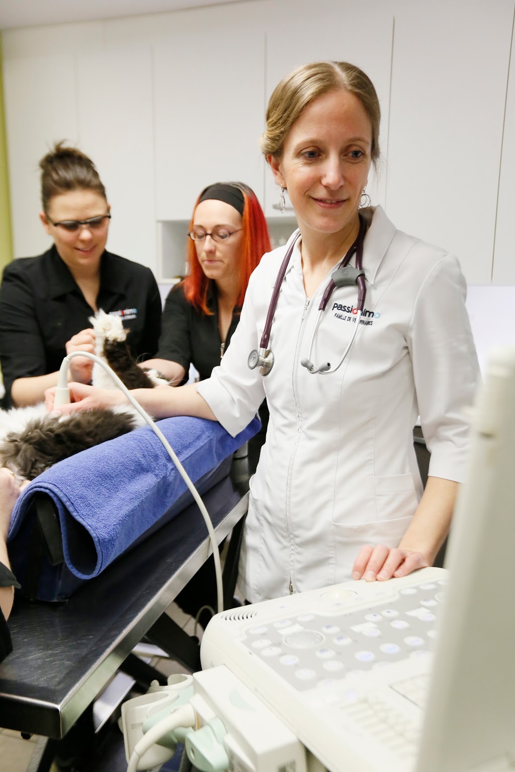 Hôpital vétérinaire Mont St-Hilaire | 455 Chemin Ozias-Leduc, Otterburn Park, QC J3H 4A7, Canada | Phone: (450) 464-6709