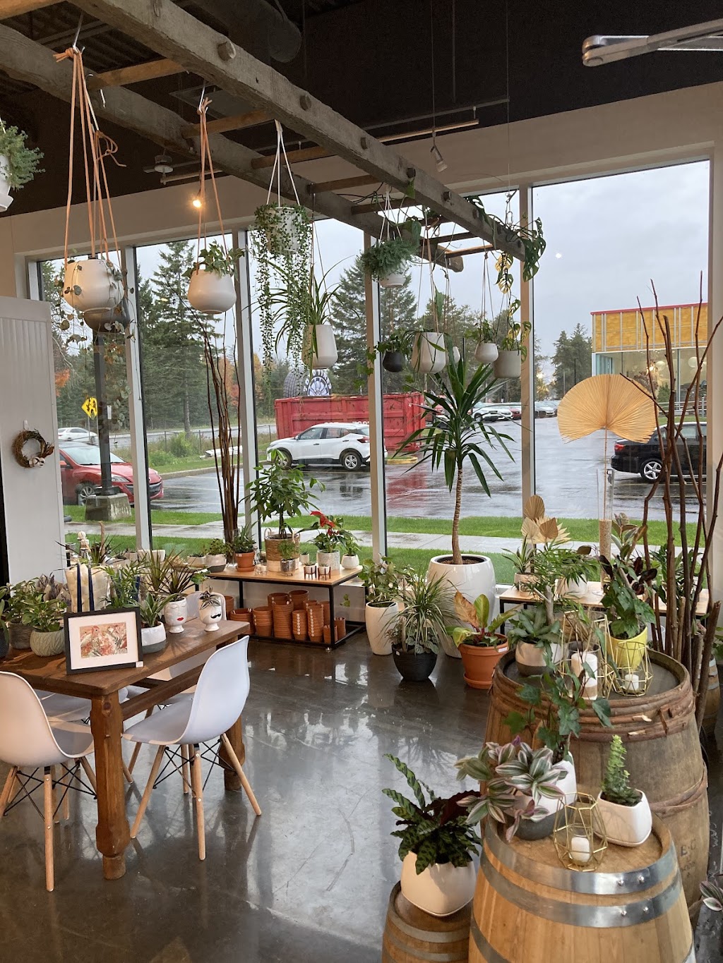 À Fleurs de Pot | 1930 Rue de lInterlude suite 101, Québec, QC G3K 0R6, Canada | Phone: (418) 845-4141