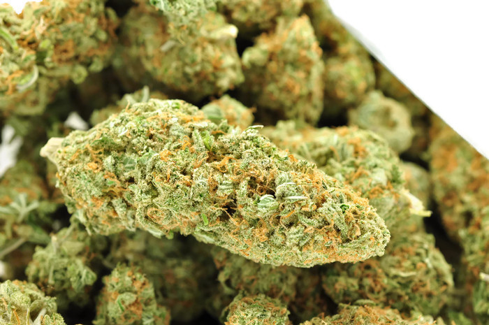 Candelivery | 125 the queensways unit 15363, Etobicoke, ON M8V 0A3, Canada | Phone: (647) 631-1704