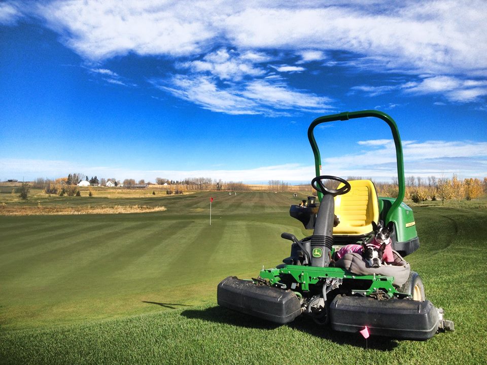 Tooth of the Dogpound Creek Golf Course | Box 431, Cremona, AB T0M 0R0, Canada | Phone: (403) 337-4880
