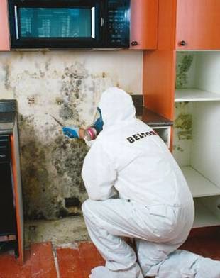 BELFOR Property Restoration | 3012 Boys Rd, Duncan, BC V9L 6W4, Canada | Phone: (250) 746-0228
