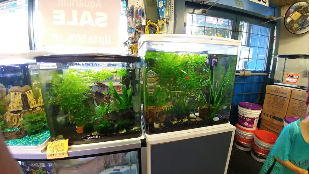 Pauls Aquarium | 7533 135 St #108, Surrey, BC V3W 0N6, Canada | Phone: (604) 572-4649
