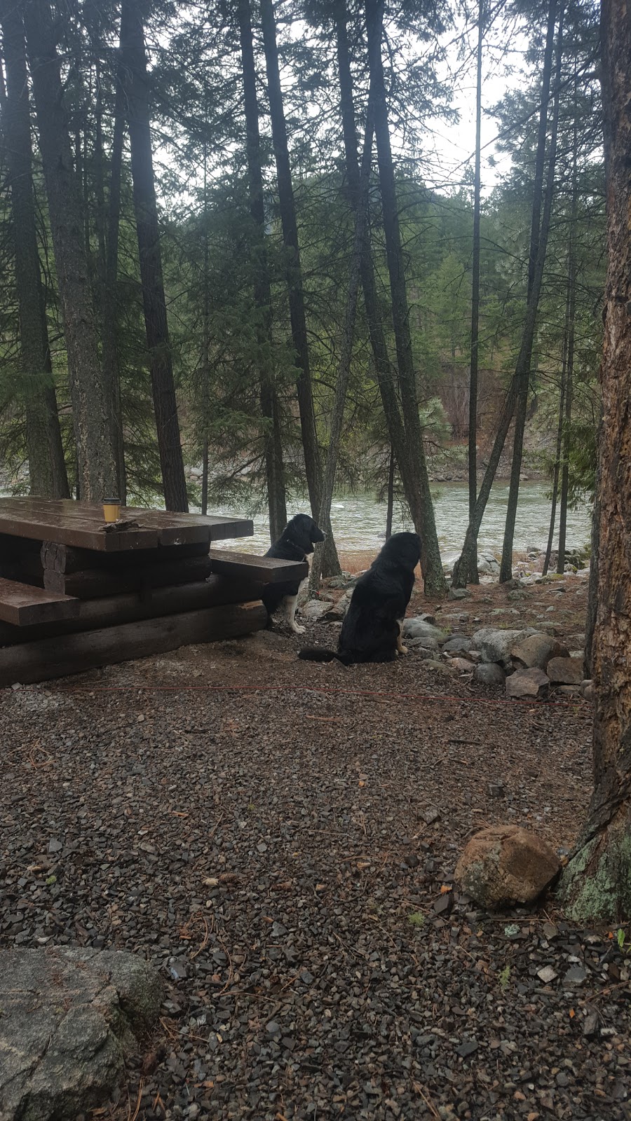 Pickard Creek - Recreation Site REC1635 | Crowsnest Hwy, Hedley, BC V0X 1K0, Canada