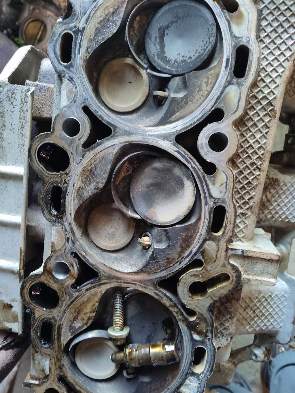Squid`s repairs | 265 Abalone Pl NE, Calgary, AB T2A 6S2, Canada | Phone: (587) 717-0572