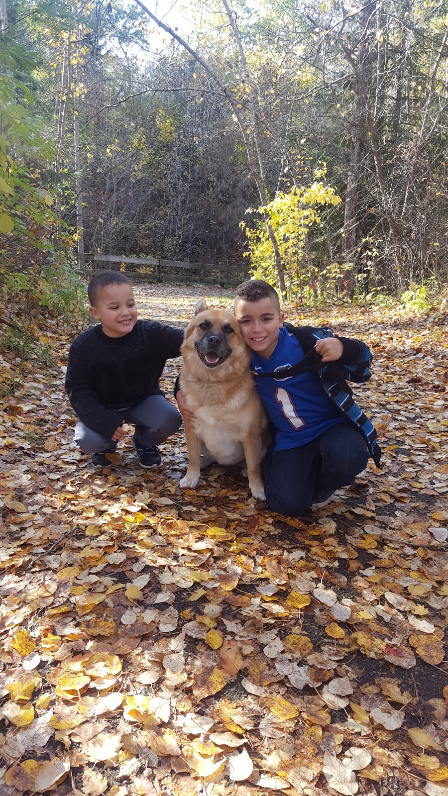Flagstone Park | 51 Flagstone Crescent, St. Albert, AB T8N 1R2, Canada | Phone: (780) 418-6063