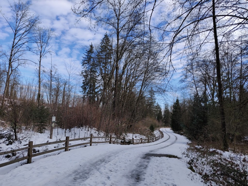 Rochester Walkway | 9740 Rochester St, Burnaby, BC V3N 4M9, Canada | Phone: (604) 294-7450