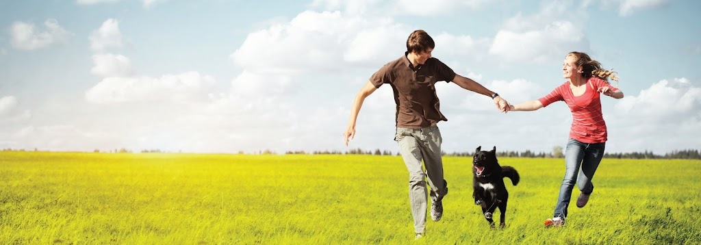 Abraham Alden H Dr | 2450 Rideau St, Abbotsford, BC V2T 3N4, Canada | Phone: (604) 853-3378