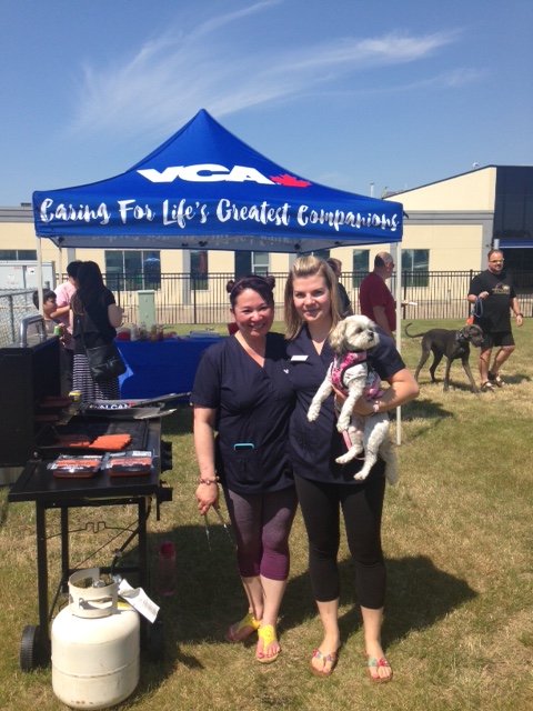 VCA Canada Mayfield Animal Hospital | 16808 106 Ave NW, Edmonton, AB T5P 4Z3, Canada | Phone: (780) 451-3465