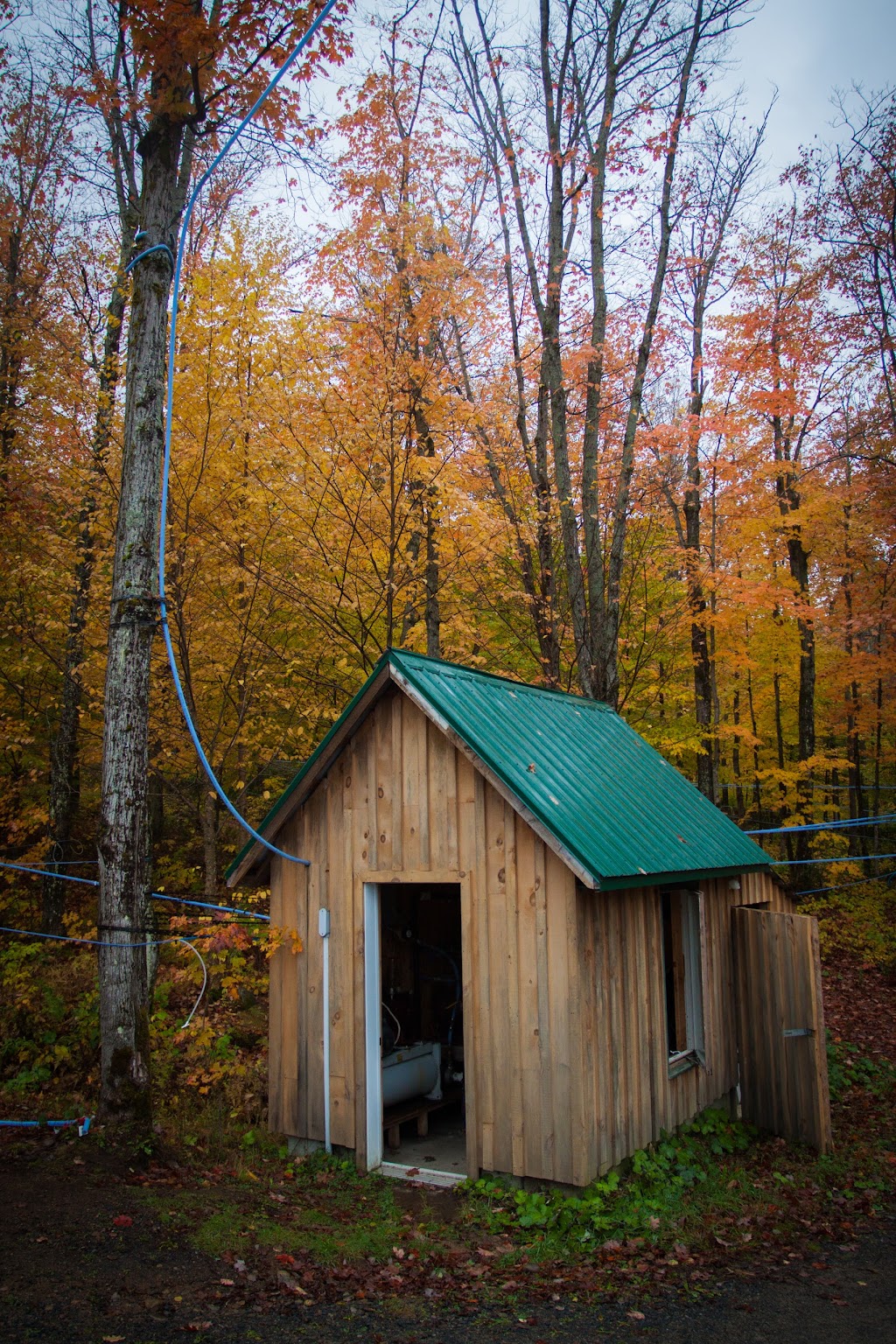 Cabane à sucre St-Mathieu-du-Parc | 1421 Chem. Principal, Saint-Mathieu-du-Parc, QC G0X 1N0, Canada | Phone: (819) 532-1553
