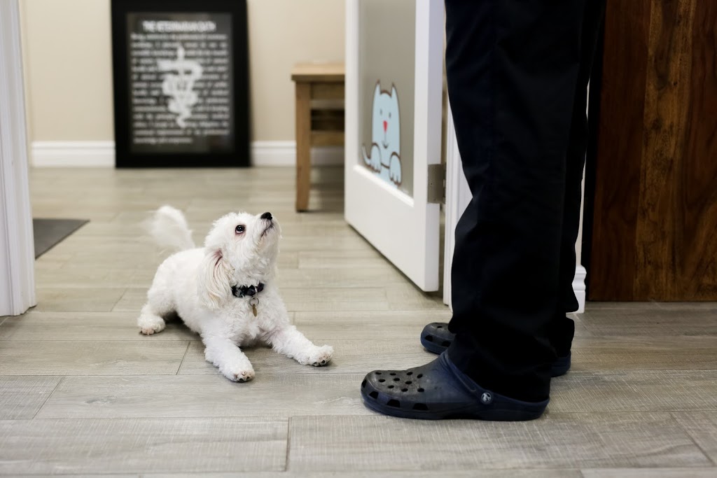 Draper Veterinary Services Centre Inc | 1144 Bedford Hwy, Bedford, NS B4A 1B8, Canada | Phone: (902) 835-6349